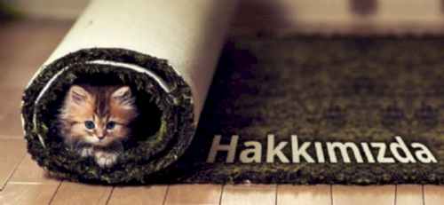 Hakkımızda Hakkımızda